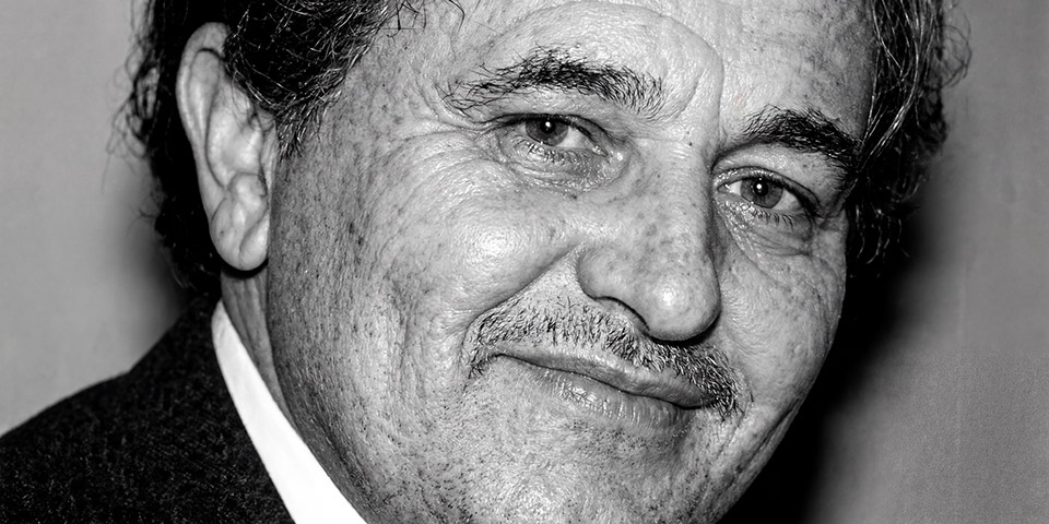 MILORAD VELJKOVIĆ - ŠPAJA