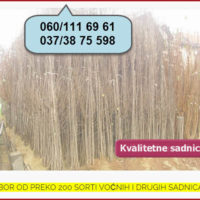 Thumbnail for the listing's main image