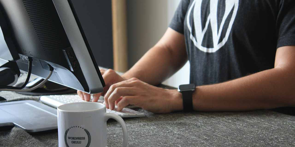 wordpress sajtovi