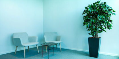 Dve svetloplave fotelje pored malog stolića i visoka saksija sa zelenom biljkom u uglu