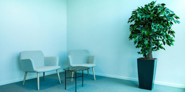 Dve svetloplave fotelje pored malog stolića i visoka saksija sa zelenom biljkom u uglu